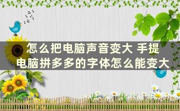 怎么把电脑声音变大 手提电脑拼多多的字体怎么能变大